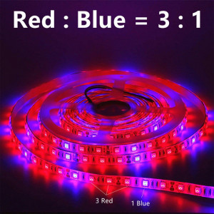 LED strip plant growth with...