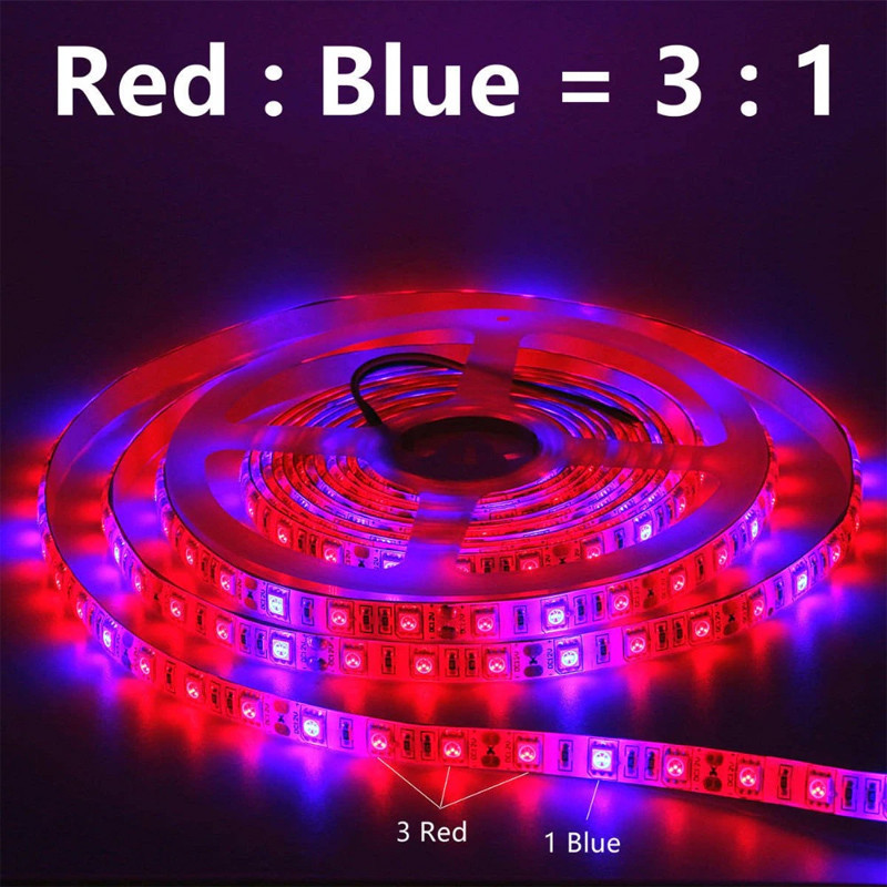 Strip LED Horticole 230 volts - LED rouge et bleue ratio 5 / 1 - vendu au  mètre linéaire