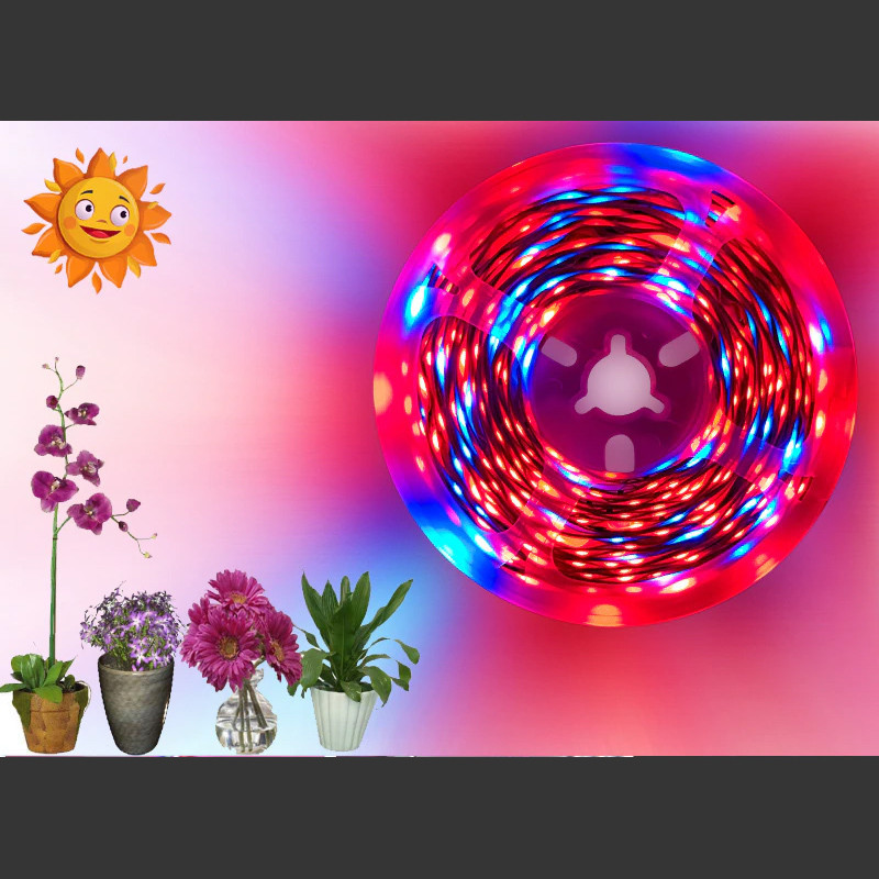 LED strip plant growth with leaves ratio 3 red 1 blue waterproof IP65