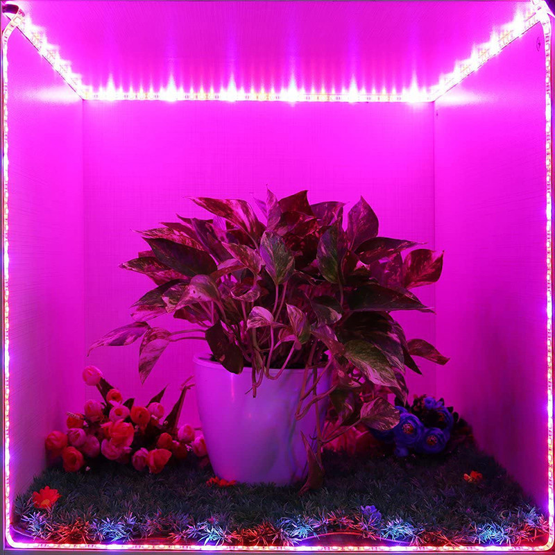 LED strip plant growth with leaves ratio 3 red 1 blue waterproof IP65