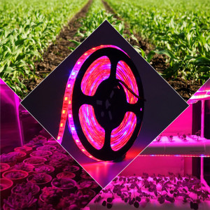 LED strip plant growth with...