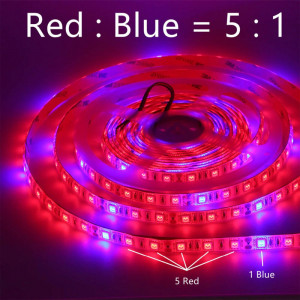 Fruit growth led strip...