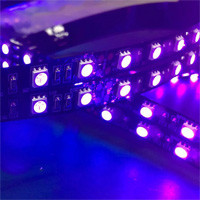 Black light led strips